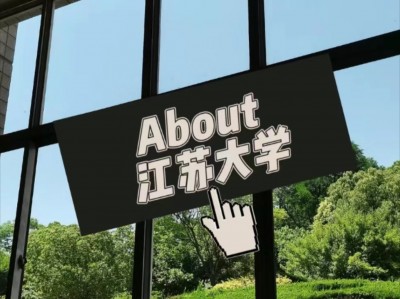 江南体育-成哥队取得好成绩，实力得到认可