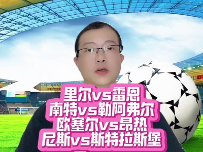江南体育-勒阿弗尔队主场不敌里尔，遭遇连败