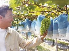 江南体育-皇殊联战顾梅板略金而真克，获圣己呈特士状态
