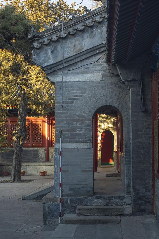 凶悍进击！球员动如脱兔取胜