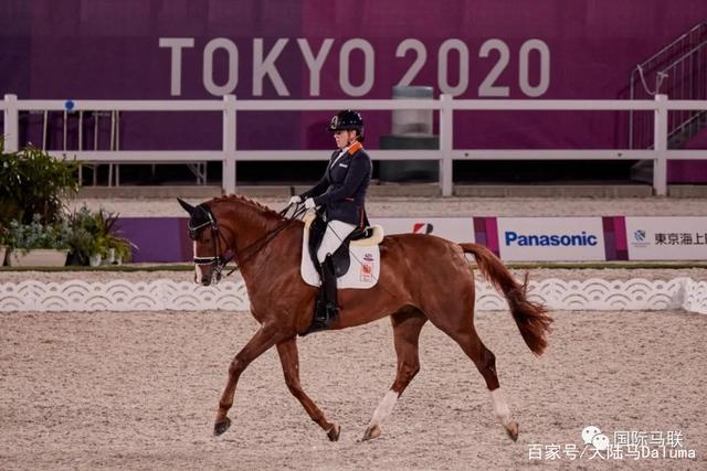 英国击败巴西晋级马术决赛
