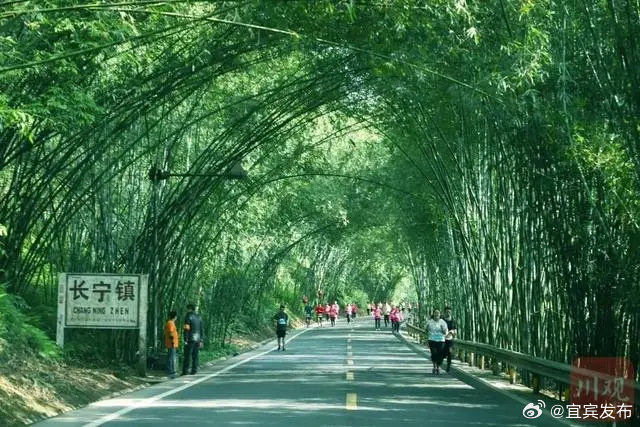 江西实现双杀，半程奋力向前迈进