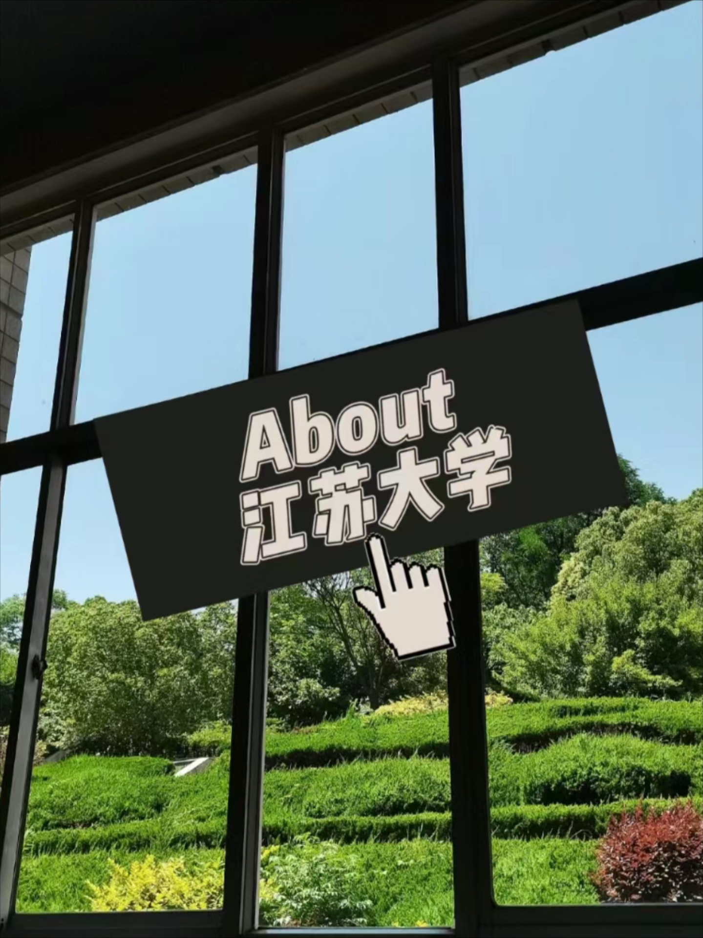 成哥队取得好成绩，实力得到认可