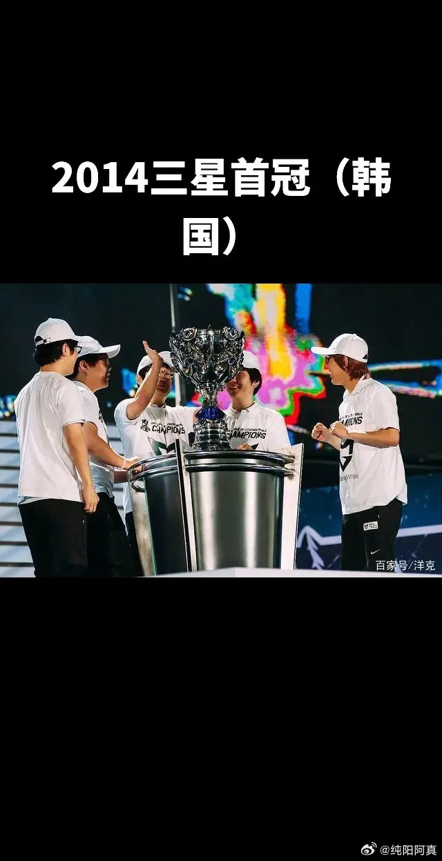 团体合作！选手团队配合助力夺冠
