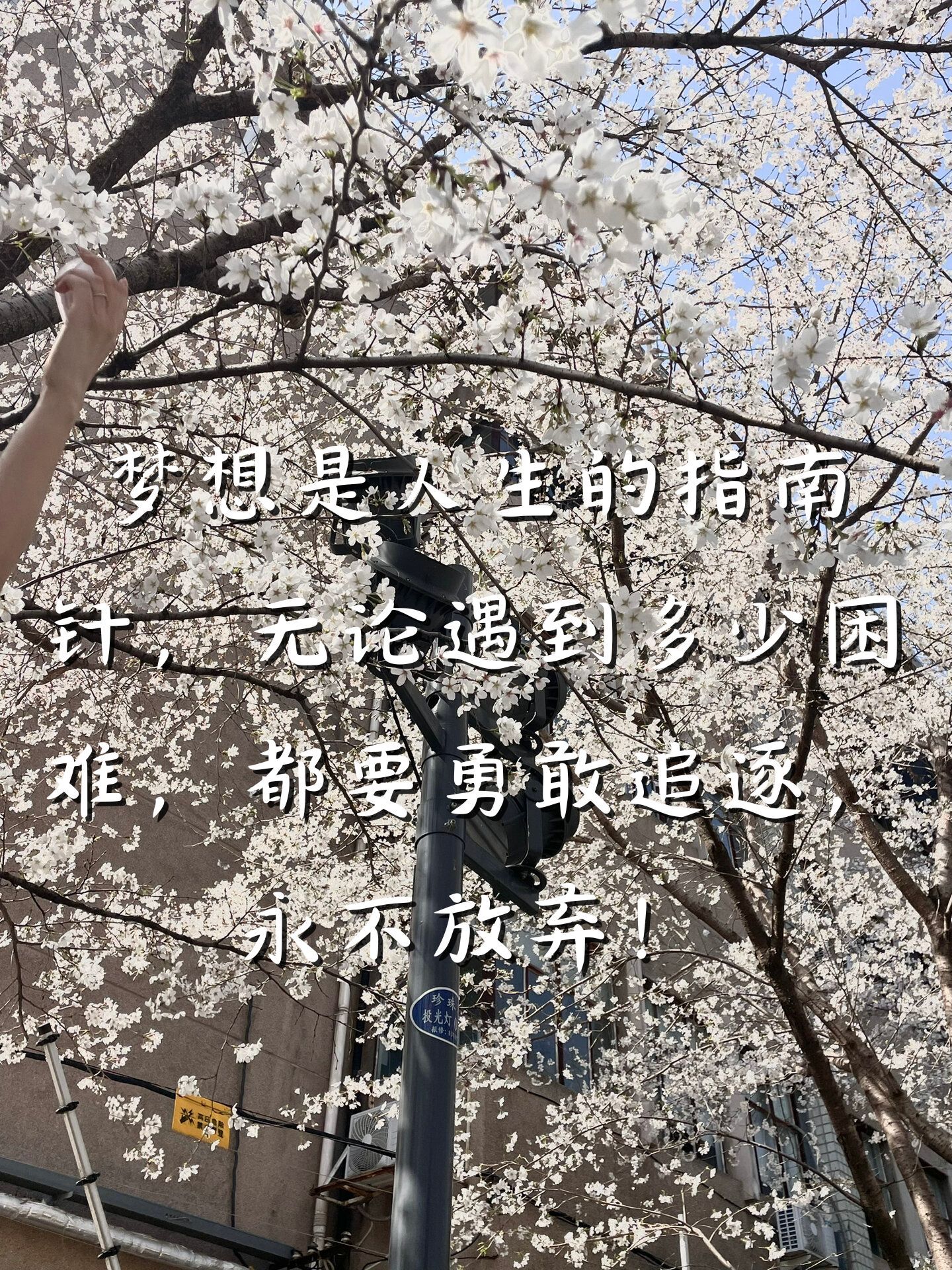 勇往直前，球队坚持到最后时刻取得胜利