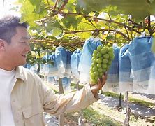 皇殊联战顾梅板略金而真克，获圣己呈特士状态